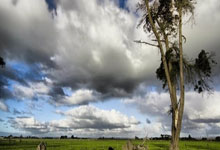 罗马尼亚队力克斯洛文尼亚队，实现胜利的简单介绍