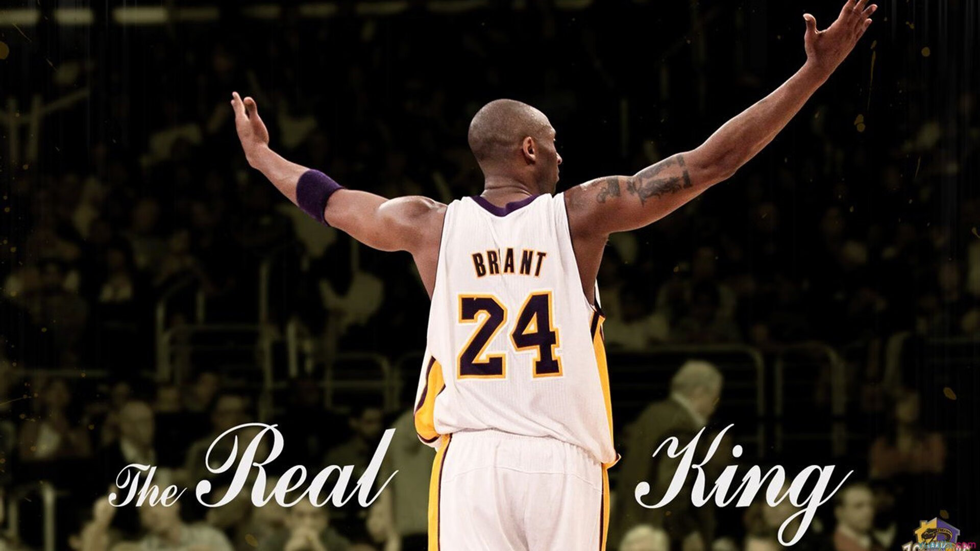  亚洲杯最新战报官网 